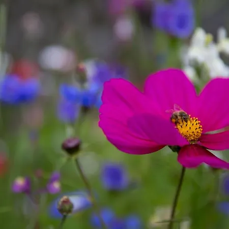 Appartement Unterkoefler