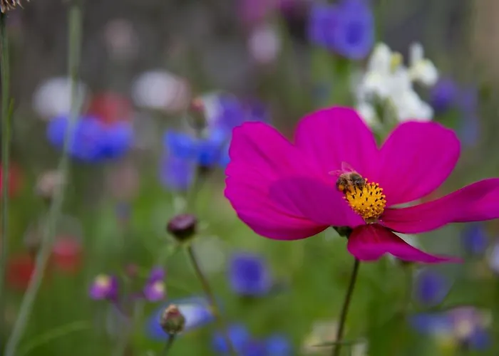 Διαμέρισμα Unterkoefler